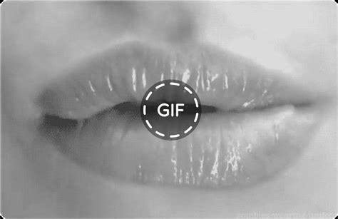 gif sexual|Gif Sesso, le migliori gif porno